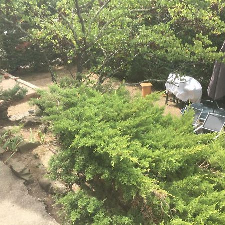 Appartement Calme De 48M2 Amélie-les-Bains-Palalda Zewnętrze zdjęcie